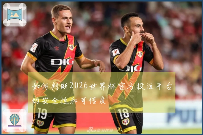 如何判断2026世界杯官方投注平台的安全性和可信度