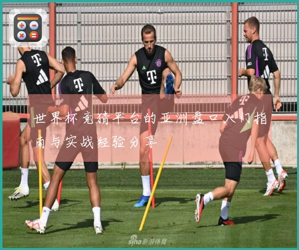 世界杯竞猜平台的亚洲盘口入门指南与实战经验分享
