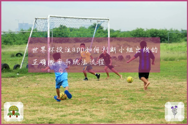 世界杯投注app如何判断小组出线的正确概率和玩法流程