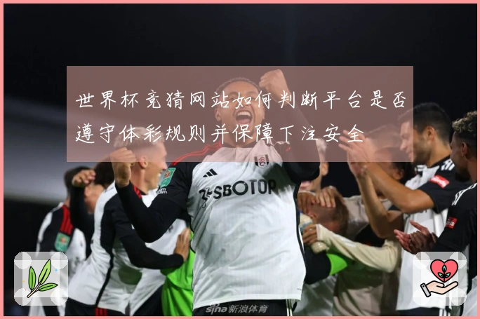 世界杯竞猜网站如何判断平台是否遵守体彩规则并保障下注安全