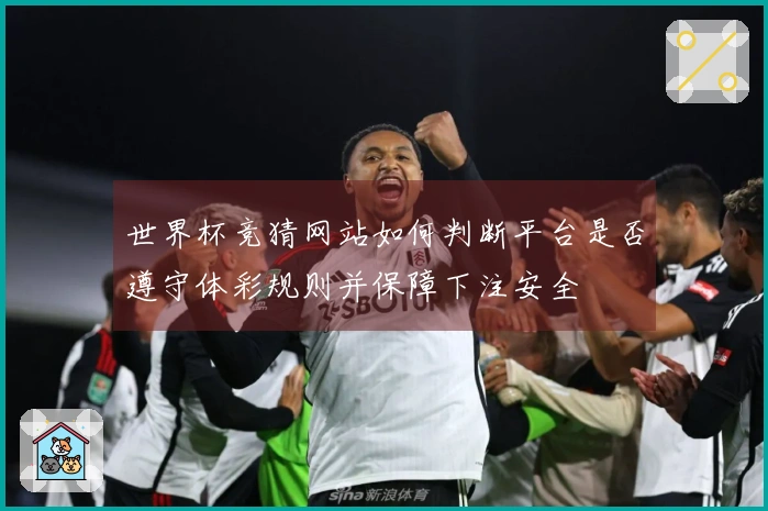 世界杯竞猜网站如何判断平台是否遵守体彩规则并保障下注安全