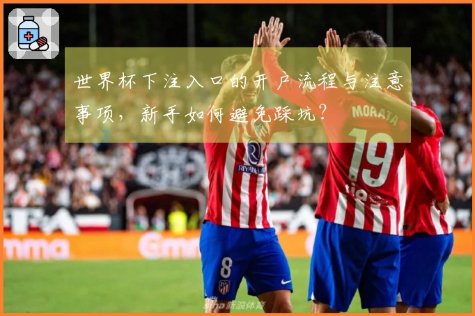 世界杯下注入口的开户流程与注意事项，新手如何避免踩坑？