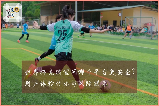 世界杯竞猜官网哪个平台更安全？用户体验对比与风险提示