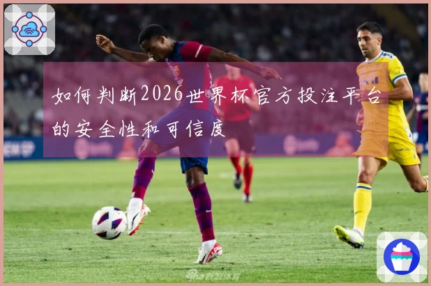 如何判断2026世界杯官方投注平台的安全性和可信度