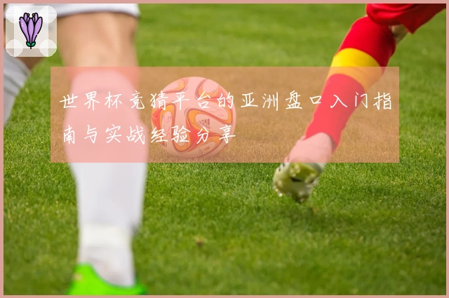 世界杯竞猜平台的亚洲盘口入门指南与实战经验分享